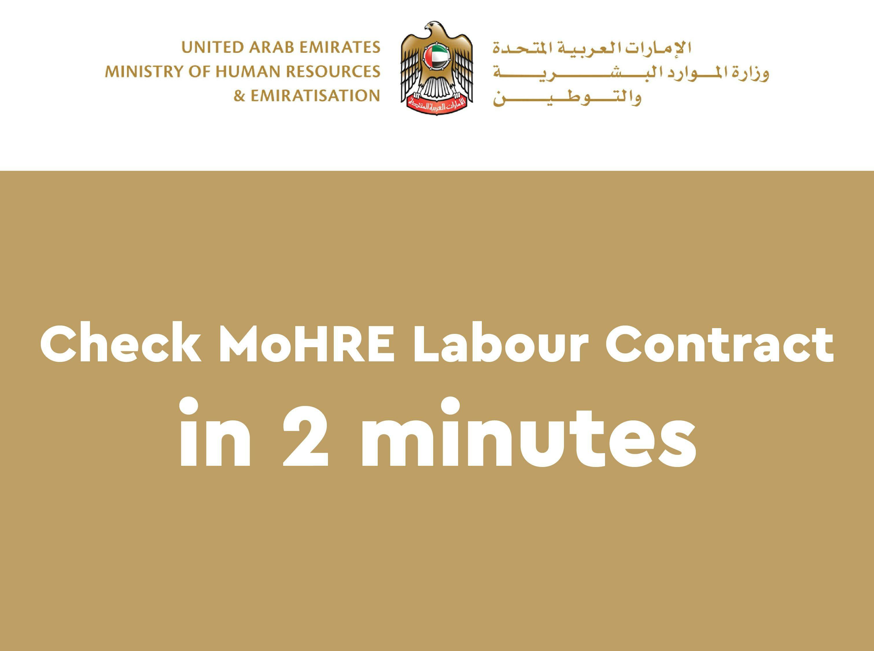 How to Check Your Labour Contract (MOL Id) Online